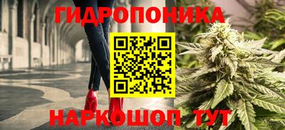 ешки Дубна