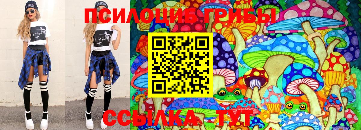 Галлюциногенные грибы Psilocybe  Галлюциногенные грибы прущие грибы  Вход с VPN  где купить   Минеральные Воды 